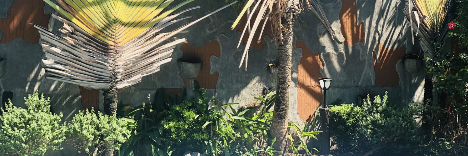 salsalsalli's profile banner image