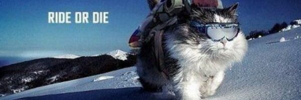 Timber_tech Profile Banner