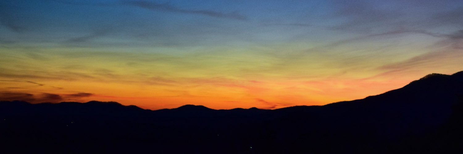 Madison MacDonald banner