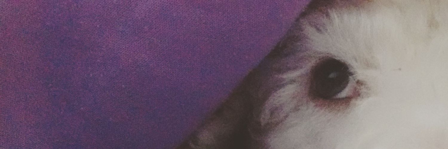 smilestolive's profile banner image