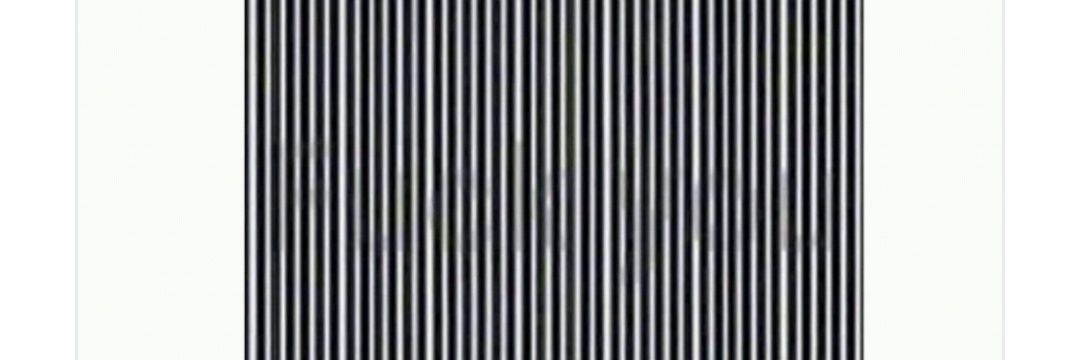 gonzo2881's profile banner image