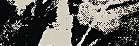 matt_d_rector's profile banner image