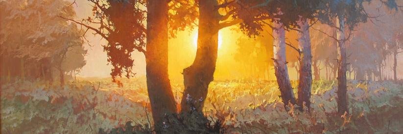 anapple15's profile banner image