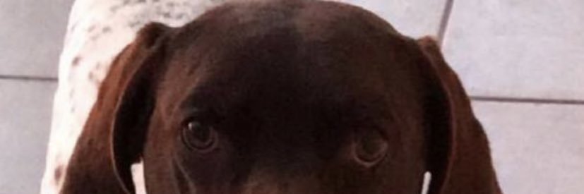 roobiou's profile banner image