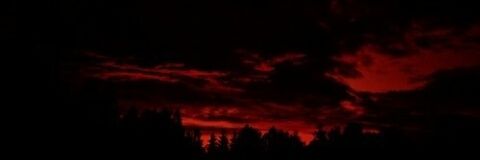 lRLPRINCE's profile banner image