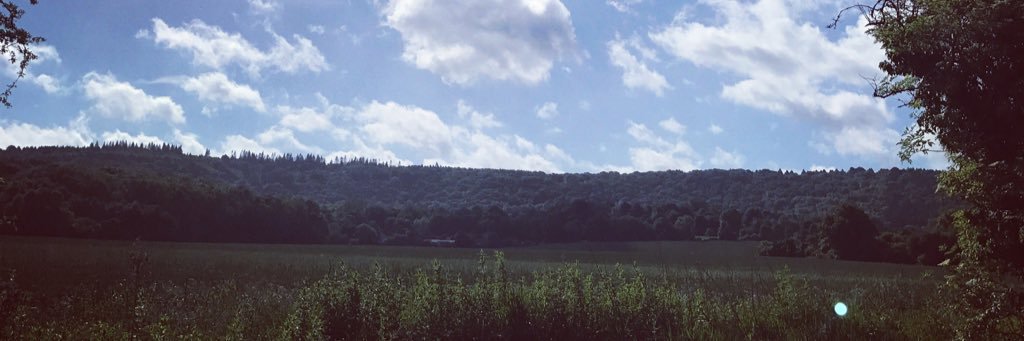 SingleinShires's profile banner image