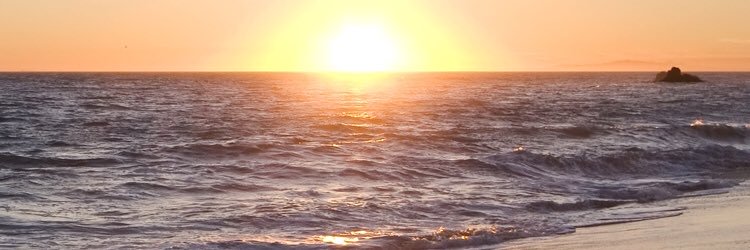LuxSCounselor's profile banner image