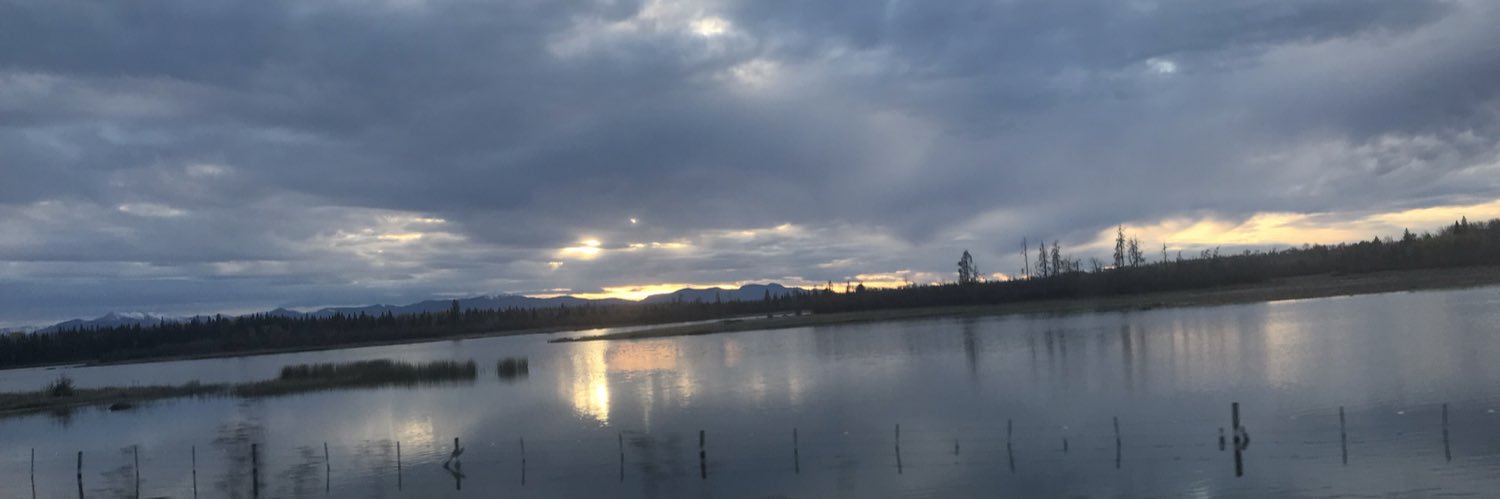 BenBeech2's profile banner image