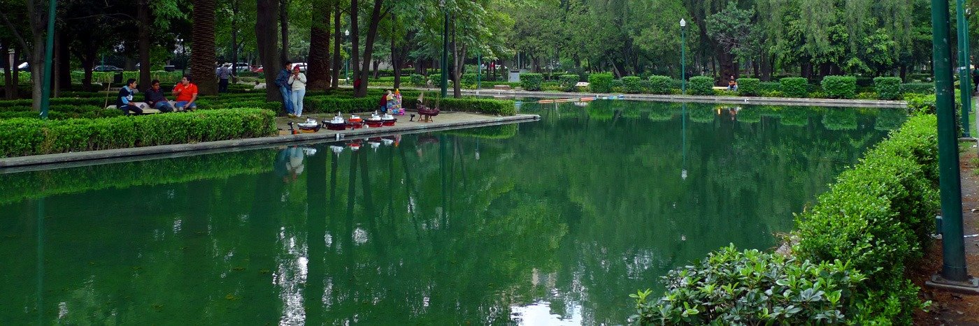 unidad vecinal Polanco banner