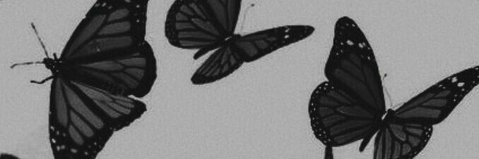 🌸Ale Swinger🌸 banner