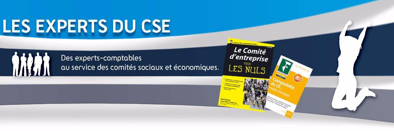 Experts-CSE banner