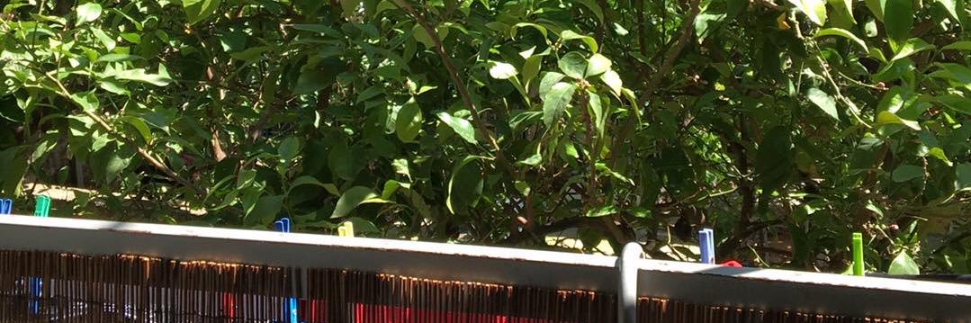 Madame by the inch banner