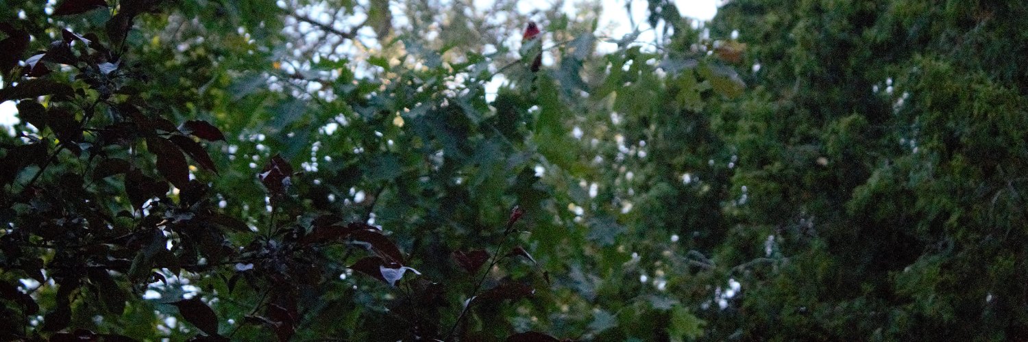 benk705's profile banner image