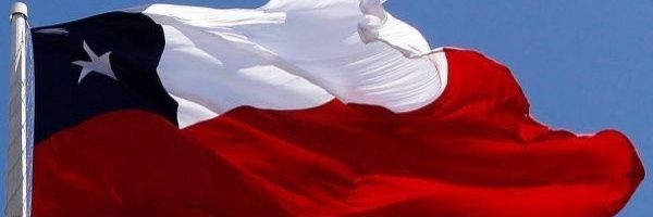 Carmen G. Rebolledo 🇨🇱 banner