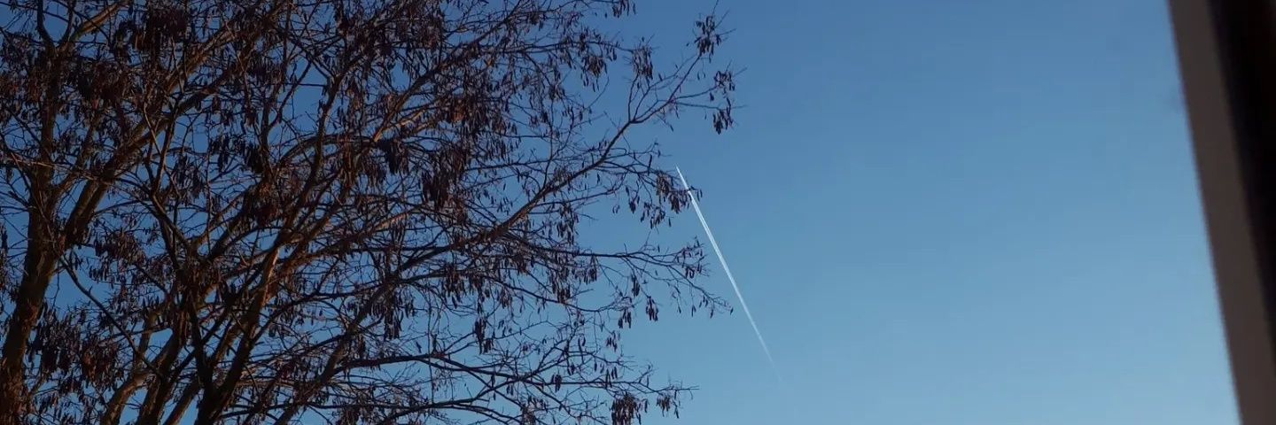 🖤 Specter 🖤 banner