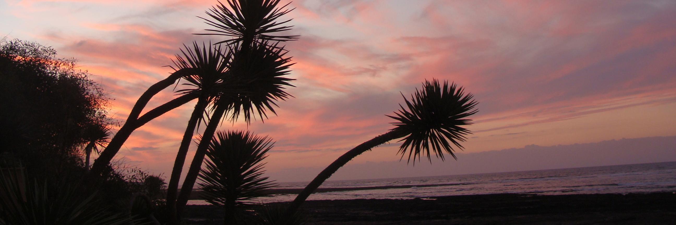 AlleinMarocco's profile banner image