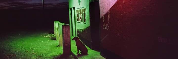 CarlosCruzC2's profile banner image