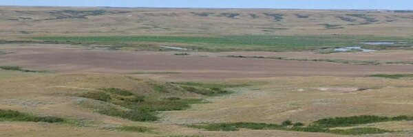 AnneWasko Profile Banner