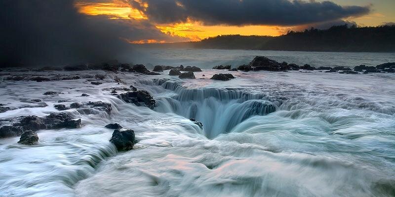 Tim Apple 🍎 banner