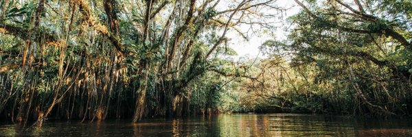 PachamamaOrg Profile Banner