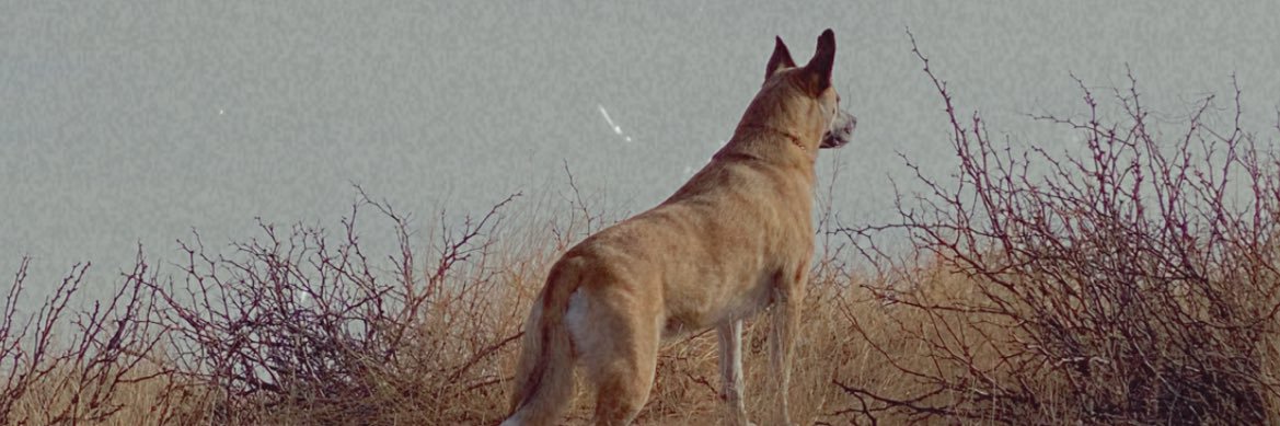 Isaacgoesdeep's profile banner image