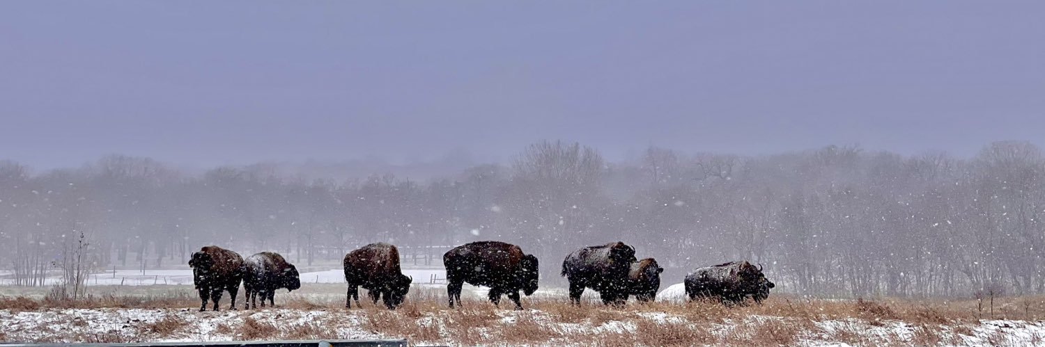 Cass Dale Condray banner