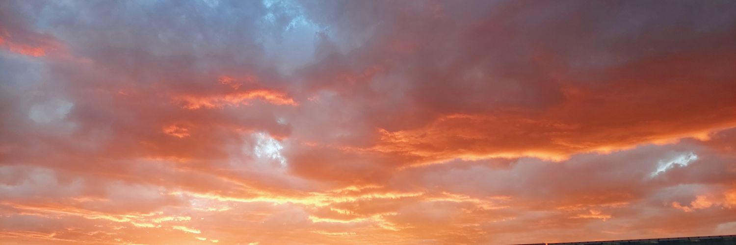 thanimcfly's profile banner image