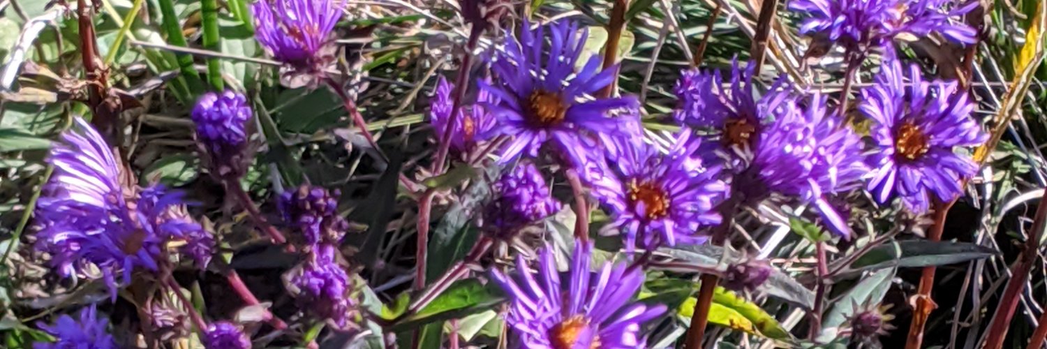 diamondplease_'s profile banner image
