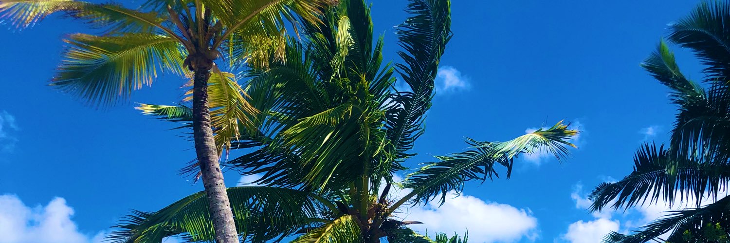 itsabmillzthing's profile banner image