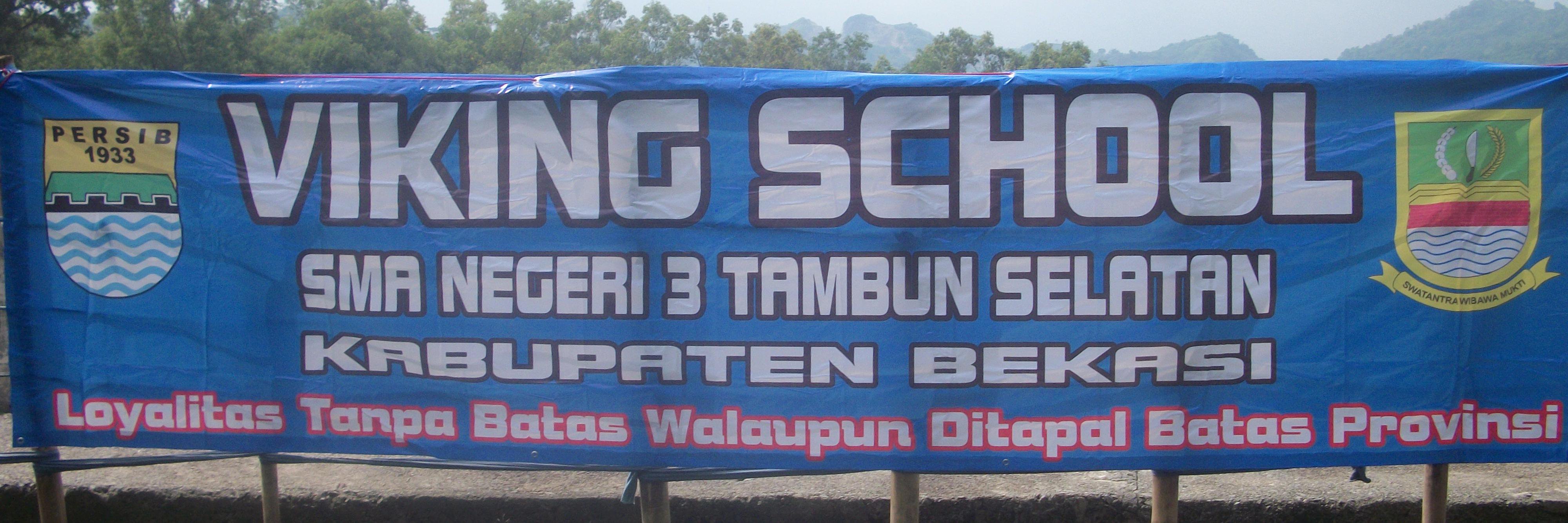 VikingSMAN3GSS's profile banner image