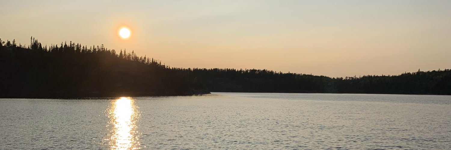 Sheldon Stier banner