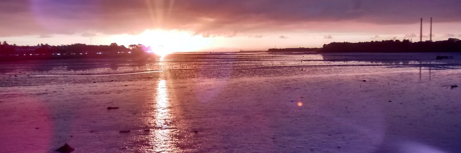 digiagjryan's profile banner image