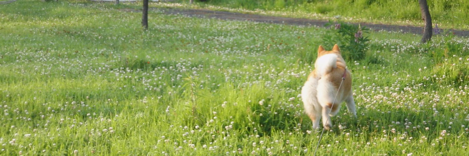 犬のしっぽ banner