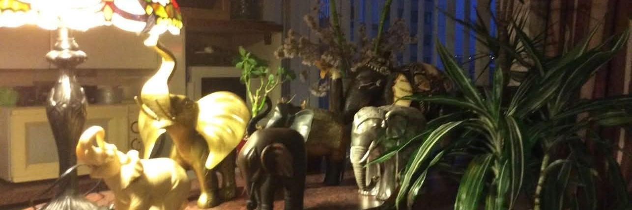 Andrée Vanderdonckt banner