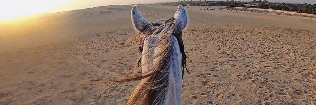 abdulrhmanhadad's profile banner image