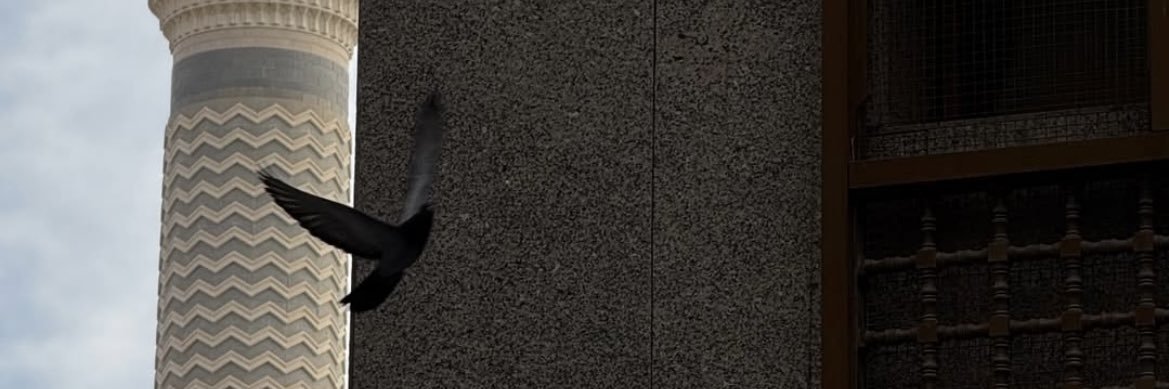 norrah1333's profile banner image
