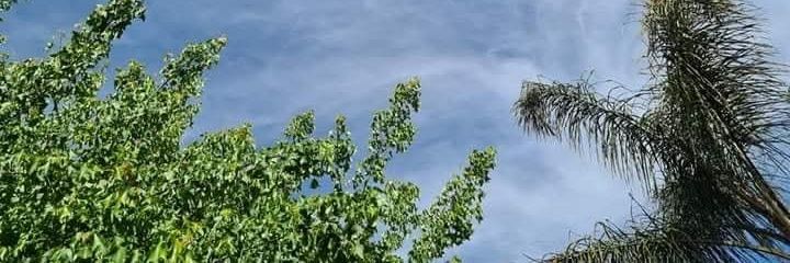 maphosamta's profile banner image