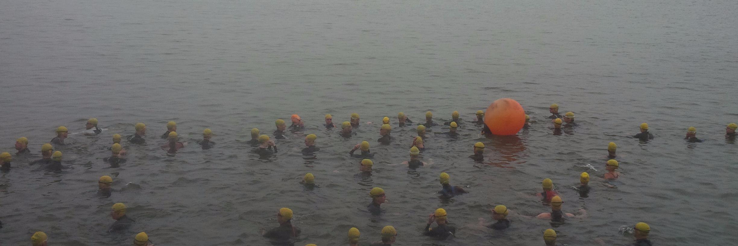 TriLobster's profile banner image