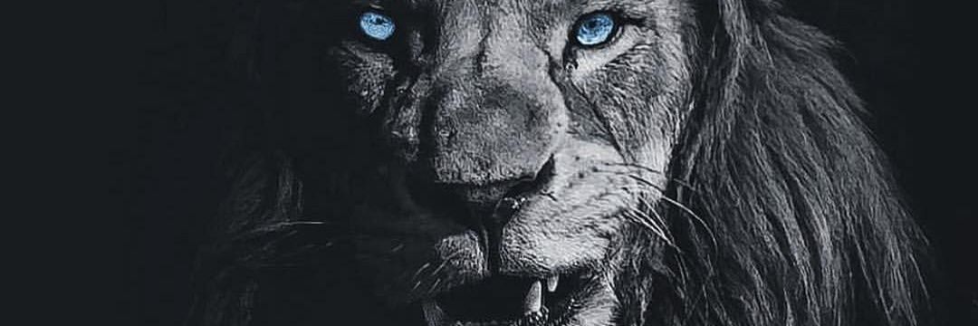 AlexMoraSori's profile banner image