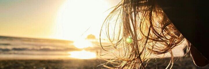 misterbranch's profile banner image