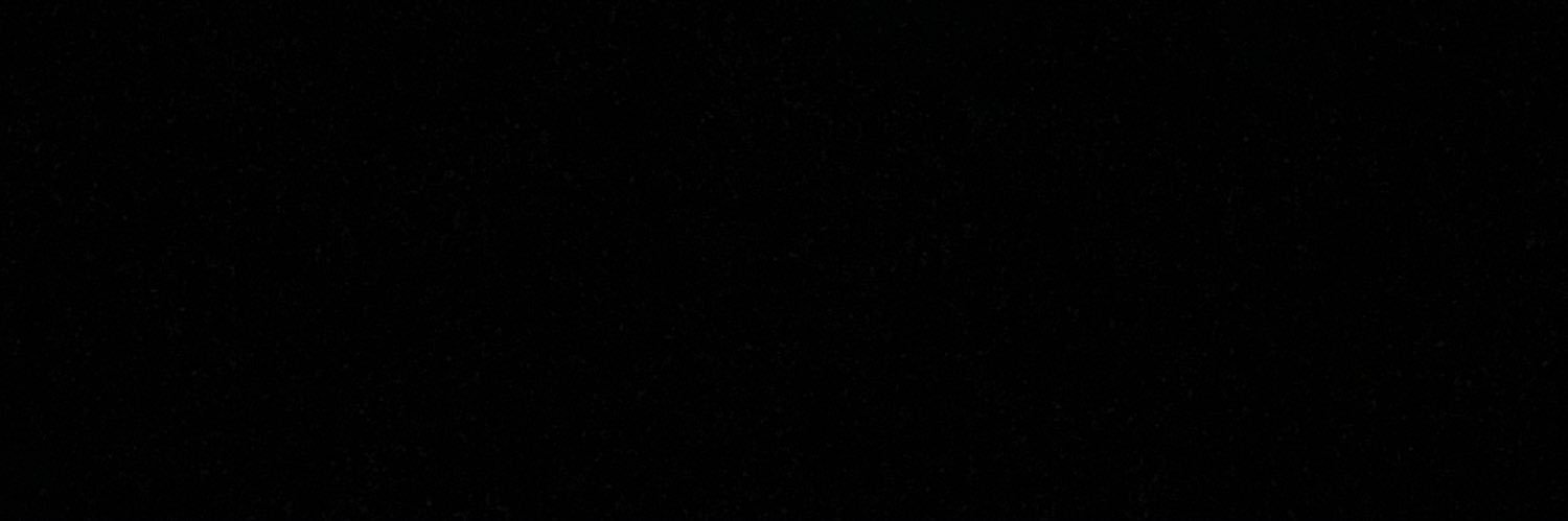 nisdvs's profile banner image