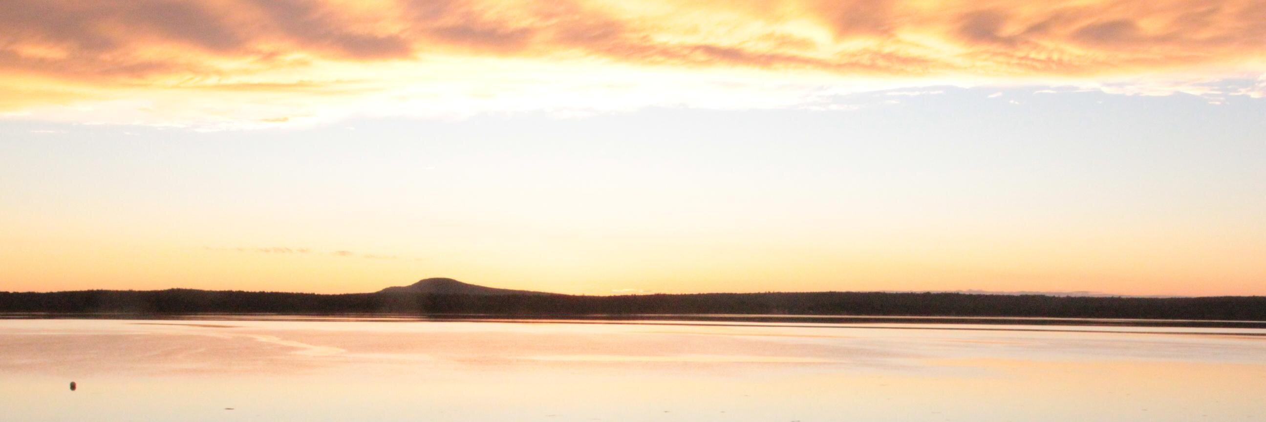 Veronica McCarthy banner