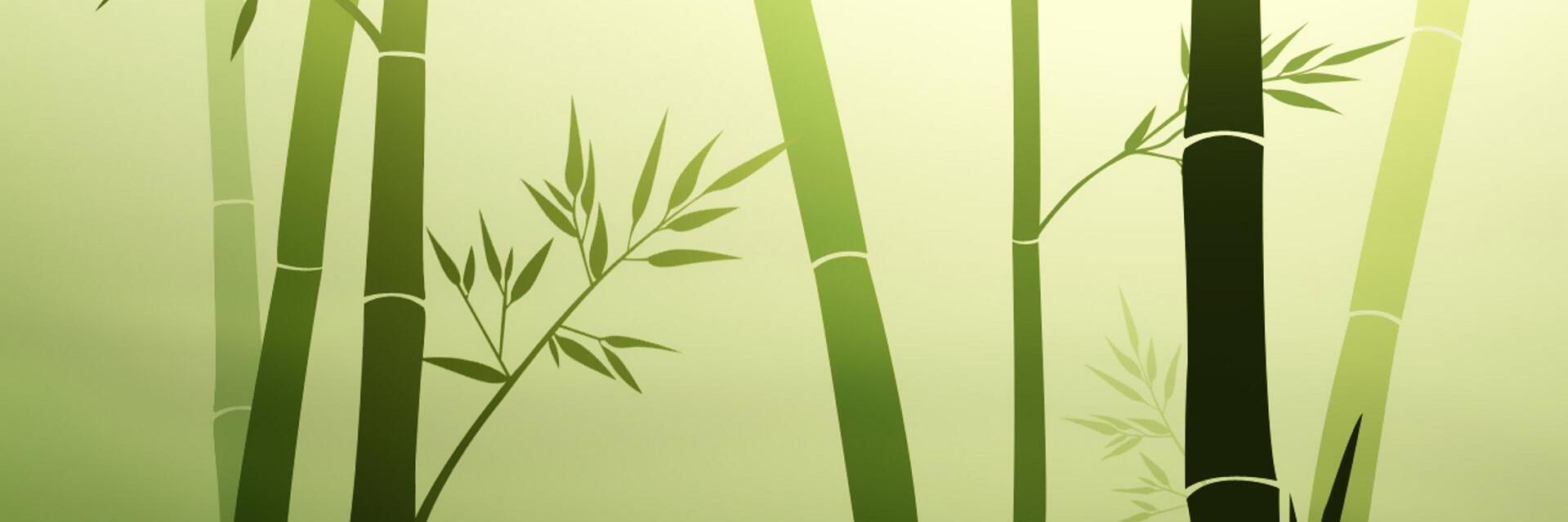 ZenVenezuela's profile banner image