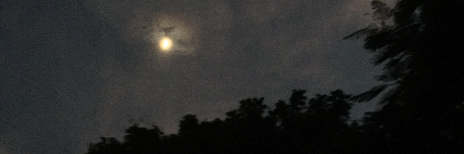 ztirmizz's profile banner image
