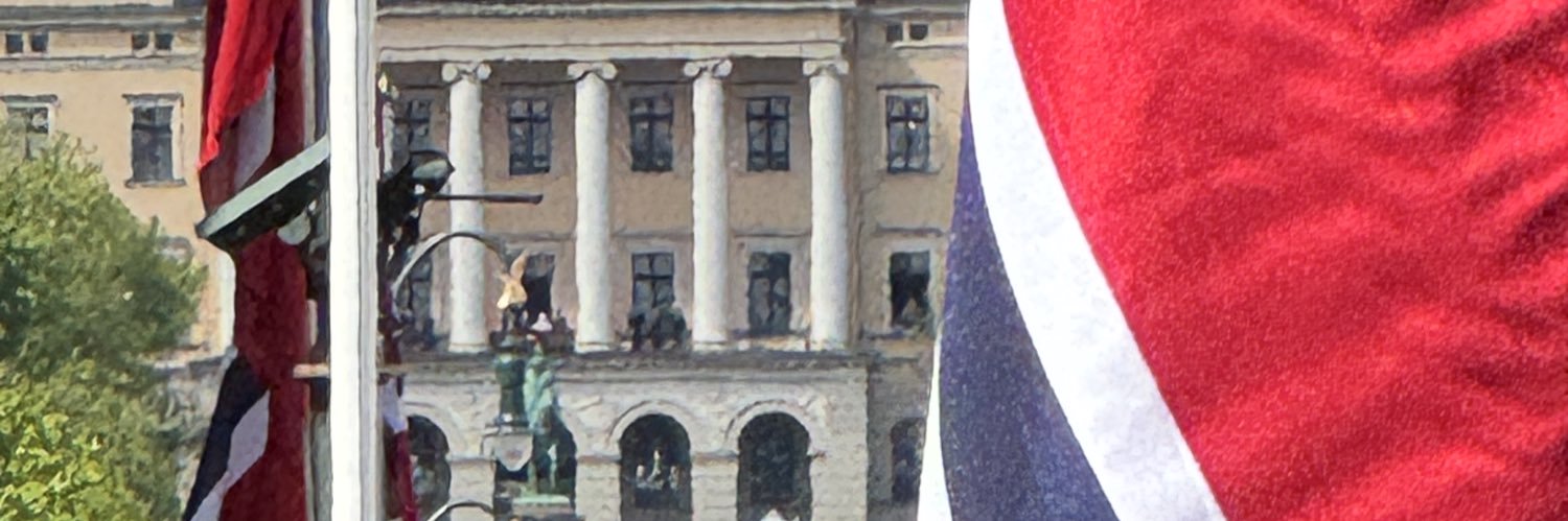 Mannonstenersen's profile banner image