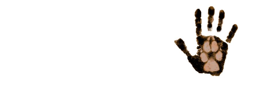 𓍯𓂃 ᴀ ʜᴜɢᴇ ᴡᴀʀ .˚ ・𝒕𝒆𝒅𝒅𝒚 𝒃𝒆𝒂𝒓 ྀི banner