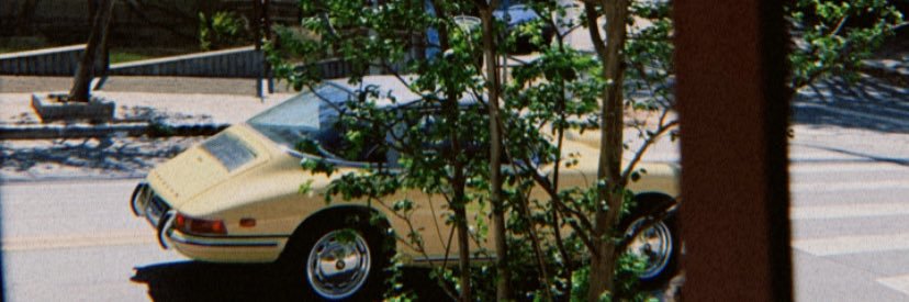 rachel green/berry banner