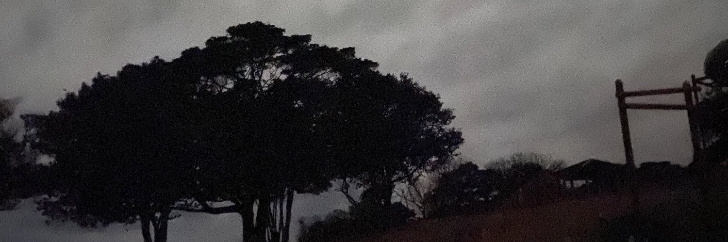 kota100703's profile banner image