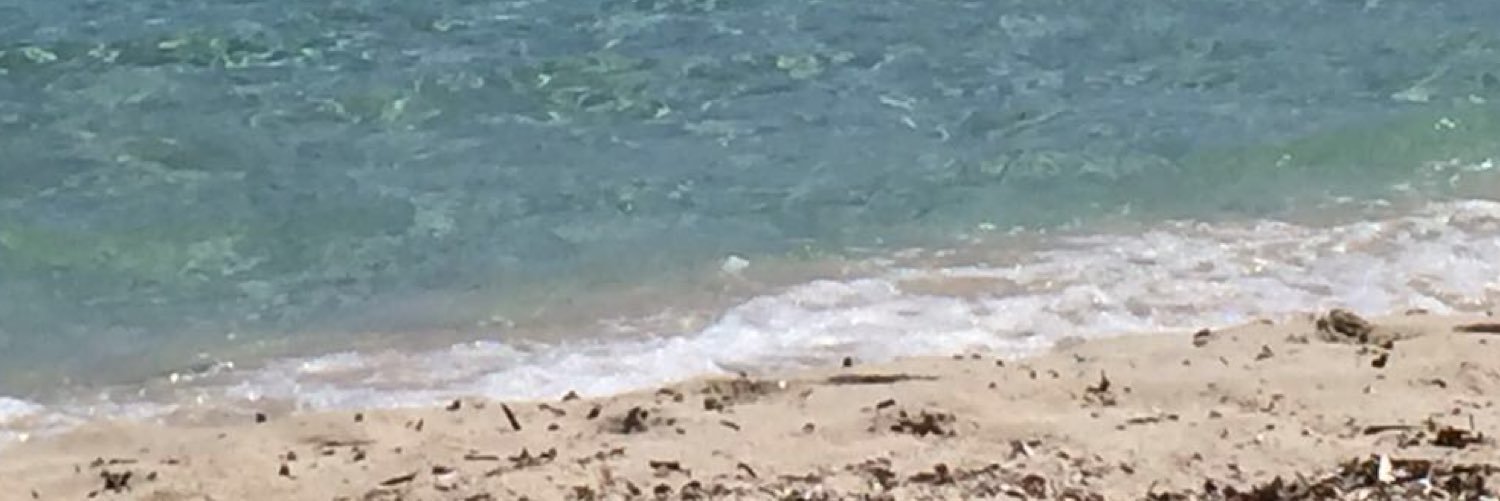 fullo75's profile banner image