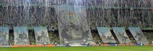 latidoverde's profile banner image